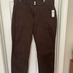 Women’s Dark Brown “The Wanderer” Pilcro Cargo Pants NWT